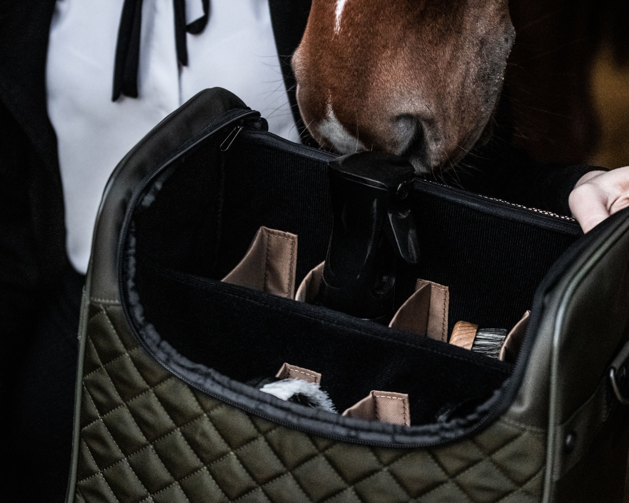 Werte wahren. Taschen,  die tragen. (4).png